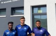 SC Paderborn: U21 verpflichtet Abwehr-Riesen und Offensivspieler
