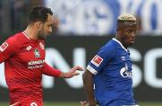 2. Liga: 190 Bundesligaspiele - HSV verstärkt sein zentrales Mittelfeld