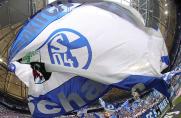 Schalke findet neuen Ärmelsponsor - Trikotbrust noch blank