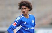 Schalke: Wechselt U23-Talent Sidi Sane zu diesem Drittligisten?