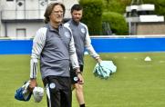 Schalke: 15 Neuzugänge für die U19 - Elgert über den Auftakt und Ouédraogo