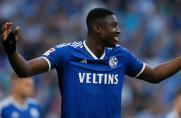 Erlebte einen Albtraum-Auftakt: Ibrahima Cissé vom FC Schalke 04.