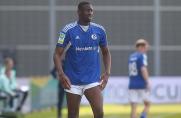 Schalke-Trainer Reis: „Wir hätten Ibrahima schützen können“