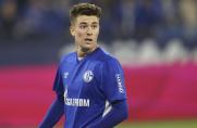 Vierte Station nach Schalke-Abschied - Matthew Hoppe wechselt erneut