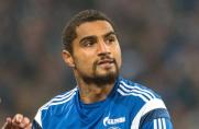 Schalke: Den Wechsel zu S04 hat Kevin-Prince Boateng immer bereut