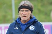 Schalke U19: Ayhan trifft, so lange fehlt U17-Europameister Bulut