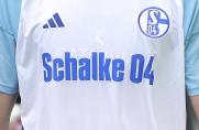 Schalke: Fast wie beim BVB - S04-Mitglieder dürfen Sondertrikot entwerfen 