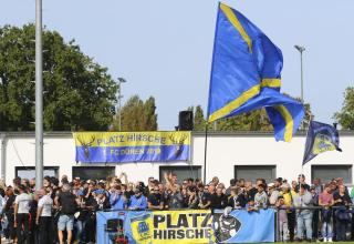 1. FC Düren: So läuft die Trainersuche - "Schommers wird MSV schnell stabilisieren"