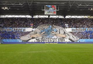 MSV Duisburg: Jemand wie Stephan Küsters würde mehr helfen als Michael Preetz