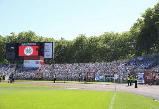 MSV Duisburg: Fünf Gründe für den Traumstart in der Regionalliga