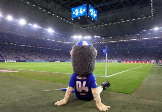 Der FC Schalke 04 befindet sich mal wieder in einer handfesten Krise.