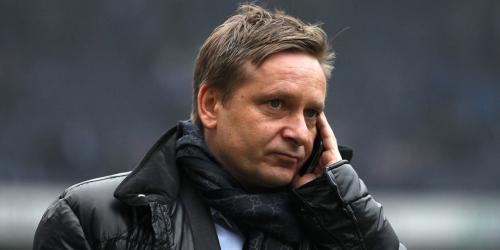 Hassan's Corner: Hallo Herr Heldt...