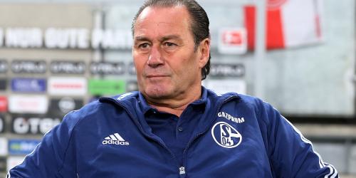 Schalke: Stevens contra Stinkefinger Girard