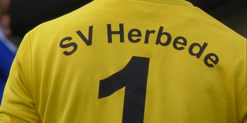 SV Herbede: Stammtorwart geht, zwei neue Keeper da