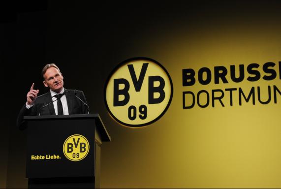 BVB: Bankhaus rät Anlegern zum Kauf der BVB-Aktie