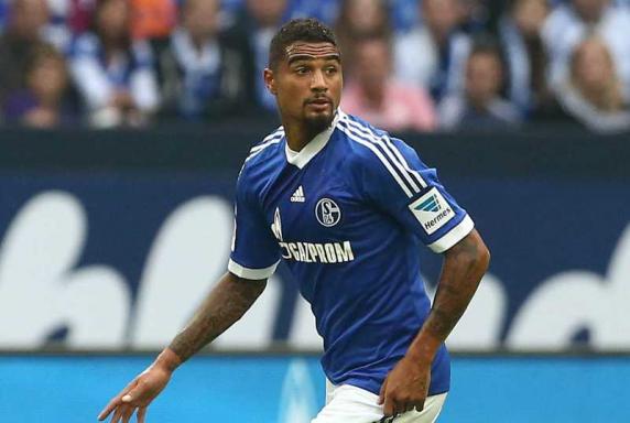 Schalke. Peters entschuldigt sich bei Boateng