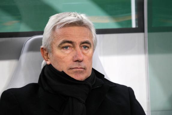 Medien: Van Marwijk bestätigt Wechsel zum HSV