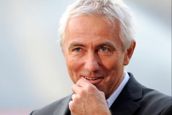 HSV: van Marwijk neuer Trainer