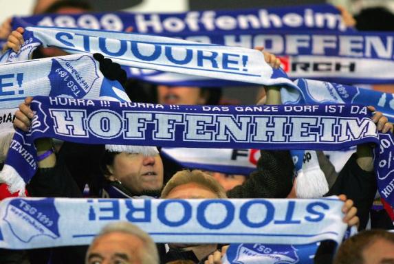 Hoffenheim: TSG holt schwedischen Nationalspieler Hamad