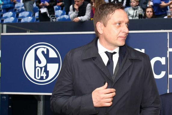 Schalke: Heldt neidisch auf Wolfsburg