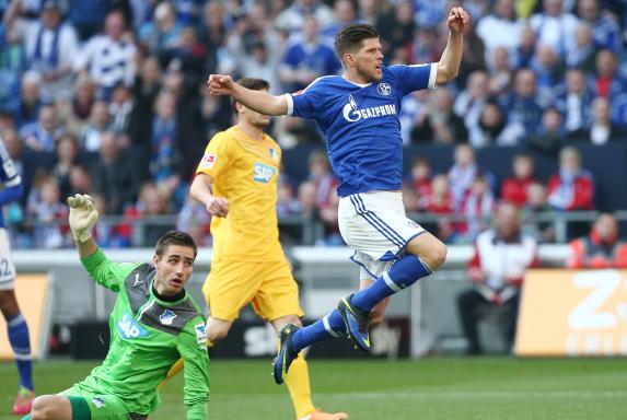 Schalke: Hoffenheim bekommt Schalker Wut zu spüren