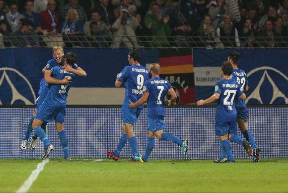 SV Darmstadt: Grünes Licht für Einsatz am Böllenfalltor