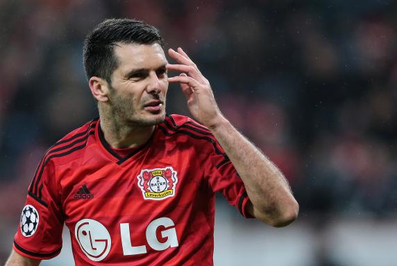 Emir Spahic, Bayer Leverkusen.