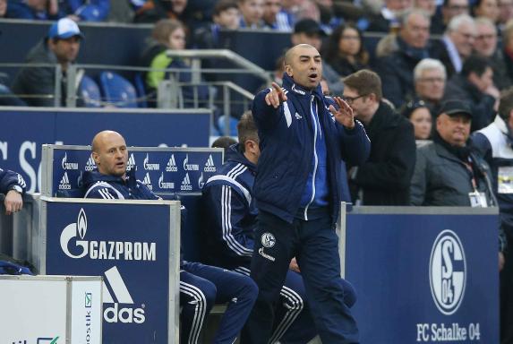 fc schalke 04, Roberto di Matteo, Saison 2014/15, fc schalke 04, Roberto di Matteo, Saison 2014/15