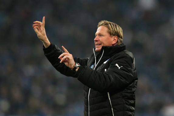 TSG 1899 Hoffenheim, Markus Gisdol, Saison 2013/2014, TSG 1899 Hoffenheim, Markus Gisdol, Saison 2013/2014