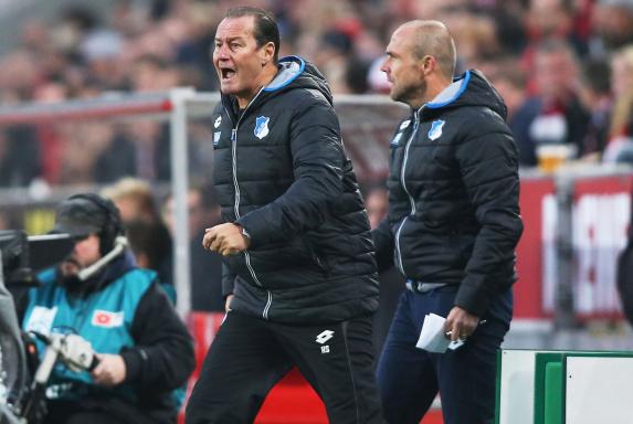 Huub Stevens, TSG Hoffenheim, Huub Stevens, TSG Hoffenheim