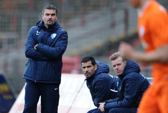 Trainer, VfL Bochum, Thomas Reis, A-Junioren Bundesliga, Saison 2013/14, Trainer, VfL Bochum, Thomas Reis, A-Junioren Bundesliga, Saison 2013/14