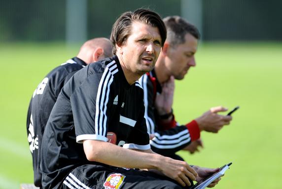 Trainer, Bayer Leverkusen, Peter Hyballa, A-Junioren Bundesliga, Saison 2014/15, Trainer, Bayer Leverkusen, Peter Hyballa, A-Junioren Bundesliga, Saison 2014/15