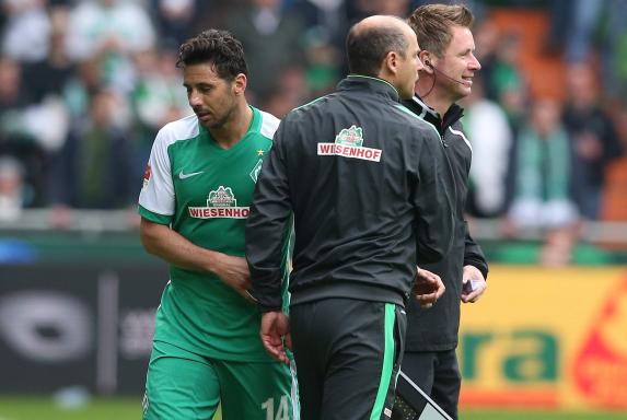 Werder Bremen, Claudio Pizarro, Viktor Skripnik