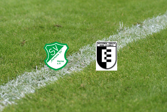 BL W 10: Remis zwischen Fortuna Herne und SW Eppendorf