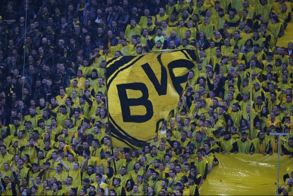 BVB-Fans, BVB-Fans