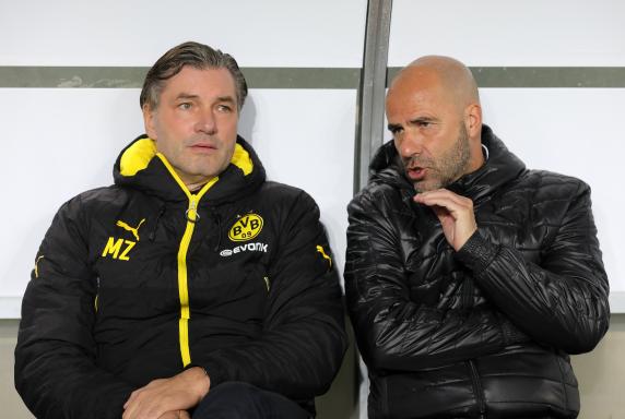 BVB: Jetzt muss Trainer Peter Bosz alle Zweifel beseitigen