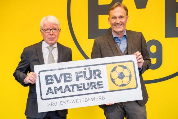 Hilfe für Amateure: Schalker Seitenhieb gegen BVB-Projekt