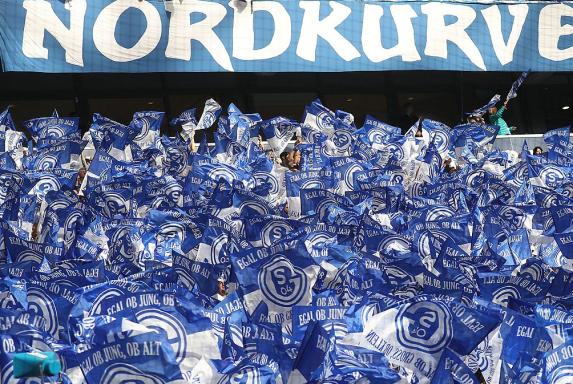 Schalke: Irre Aktion! "UGE" wollen Parkstadion-Flutlichtmast retten