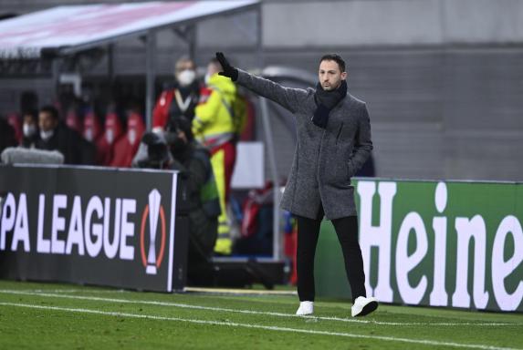 Tedesco auf Schalke gestählt: Unruhen seien kein Thema