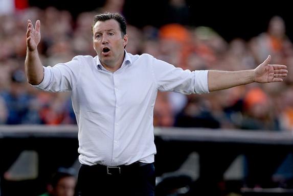 Ex-Schalker: Wilmots nach nur drei Monaten in Casablanca entlassen