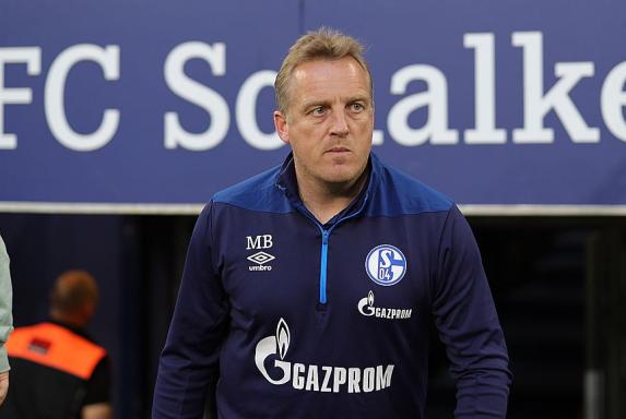 Schalke: Fünf Gründe, warum Büskens jetzt der richtige Trainer ist