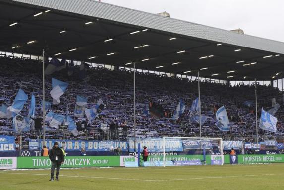 Schalker im Heimbereich - so reagiert der VfL Bochum