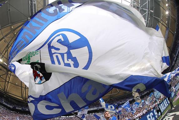 Schalke: Neuer Torwart im Anflug