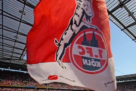 Regionalliga: Peilt die U21 des 1. FC Köln die 3. Liga an?