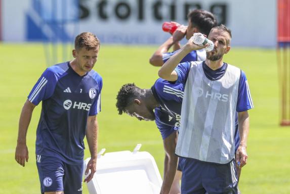 Schalke: Seguin und Drexler wieder im Mannschaftstraining