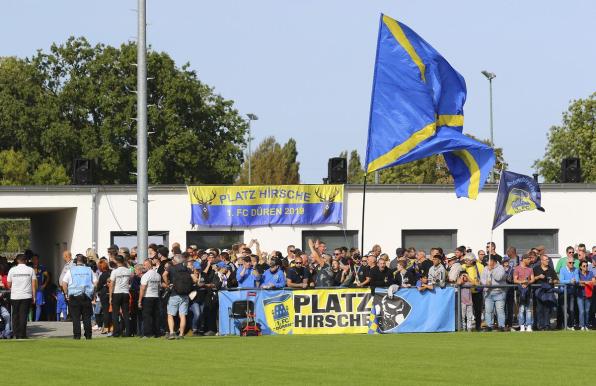 1. FC Düren: So läuft die Trainersuche - "Schommers wird MSV schnell stabilisieren"