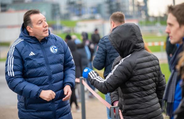 Schalke-Sportdirektor Marc Wilmots.