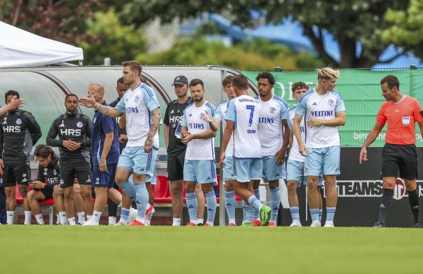 Guter Auftritt des FC Schalke 04 gegen Dynamo Kiew.