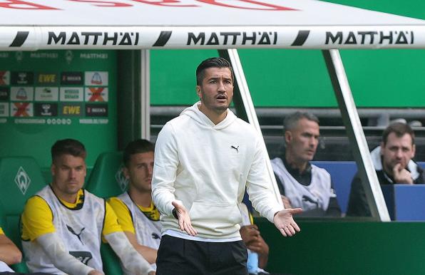 Nuri Sahin, Trainer des BVB.