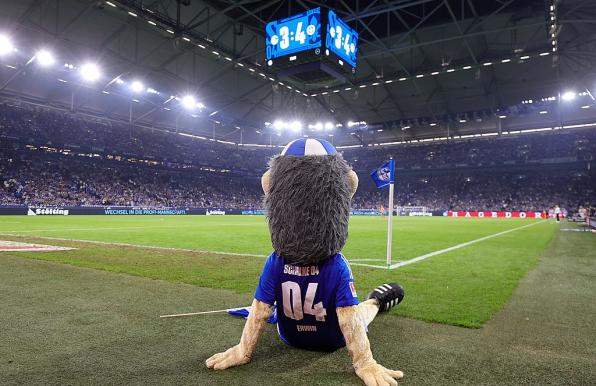 Der FC Schalke 04 befindet sich mal wieder in einer handfesten Krise.